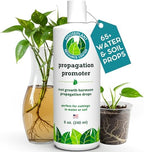 Fiddle Leaf Fig Propagation Bundle - Image 4