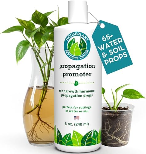 Fiddle Leaf Fig Propagation Bundle - Image 4