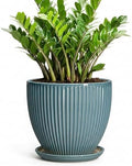 10 Inch Plant Pot, Ceramic Flower Pots with Saucer, Glaze Blue by Wliror
