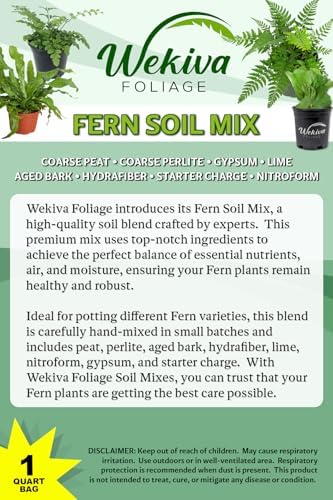 Fern Growing Soil Mix – 3 Quarts - Custom Soil Blend – Potting Mix for Fern Plants – Specially Developed by and for Professional Nursery Growers - Nutrient-Rich Formula - Image 2