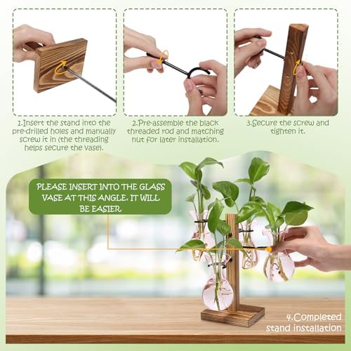 Plants Propagation Stations Bulb Glass Propagation Birthday Gift for Women - Image 2