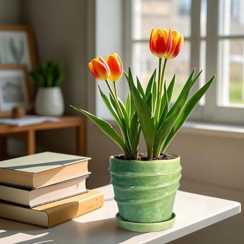 6in Plant Pot, Ceramic Planter, Plant Pots Indoor, Plant Pots with Drainage Holes and Saucers, Flower Pots for Indoor Plants, Bright Green - Image 5