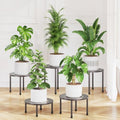 LASZOLA Small Plant Pot Stand Indoor Outdoor Planter, 5-Pack Metal Brown by LASZOLA