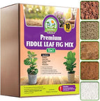 DUSPRO Fiddle Leaf Fig Soil, 5-in-1 Pre-Mixed & Ready to Use, 10 Quarts by DUSPRO