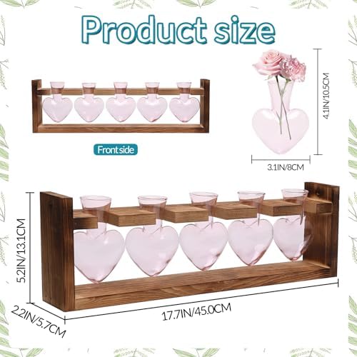 Plant Terrarium Hanging Propagation Stations Gift for Women - Image 3