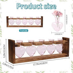 Plant Terrarium Hanging Propagation Stations Gift for Women - Image 3