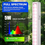 Barrina Grow Light for Indoor Plant, T5 1FT Full Spectrum Sunlight, 4 Packs - Image 3