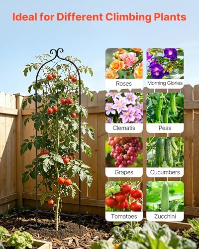 VEVOR Garden Trellis, 71 x 20 inch Rose Trellis, 8 Packs Garden Flower Rose Trellises with Powder-Coated Finish & Convenient Locking Design, Plant Support Trellises for Flowers, Vegetables, Roses - Image 5