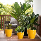 Ceramic Planters, Ceramic 10 Inch Pots for Plants Indoor, Yellow - Image 7