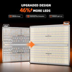 Spider Farmer SF4000 LED Grow Lights for Indoor Plants in 4x4 Grow Tent - Image 2