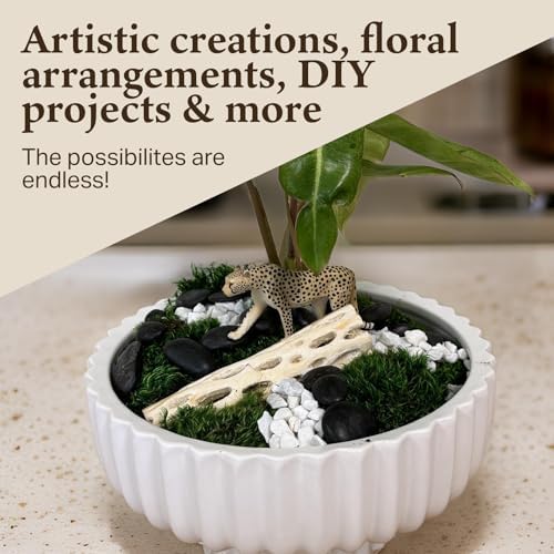 Mood Moss, Preserved Moss, Green, Medium 2-Pack - Image 4