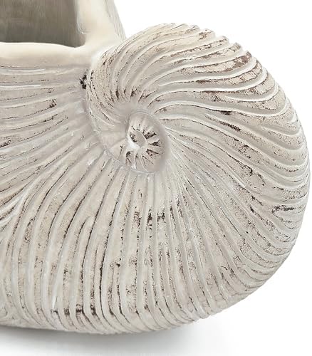 Nautilus Shell Planter, 11.5 Inch, Textured Beige Finish - Image 7