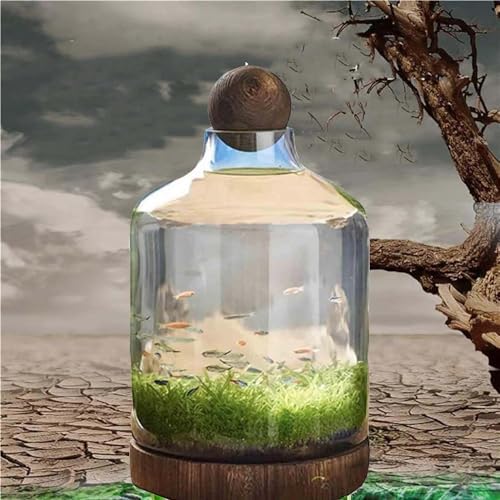 Ecological Fish Bottle Magical Glass Aquarium Micro Ecosphere Transparent Fish Tank Fish Bowel Ecological Teaching for Kids Students, D - Image 2