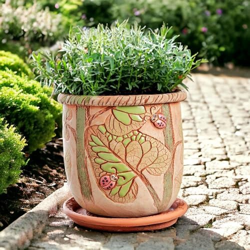 STP GOODS Ceramic Pot with Drainage Hole and Saucer, Plant Pots, Modern Decorative Planters for House Plants Indoor Flowers Plants, Cute Flower Pot - Gifts (Ladybugs (1.6 L)) - Image 7