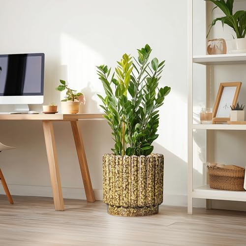 Ceramicfor Ceramic Plant Pots - 12 Inch Planter with Drainage Hole, Large Ceramic Flower Pots for Indoor Plants, Round Planter Outdoor, Living Room Decor, Gifts for Plant Lovers, Yellow - Image 2