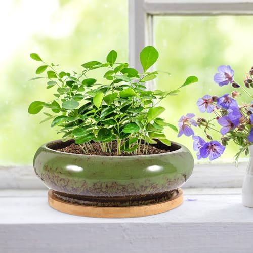 2 Sets Ceramic Bonsai Planter Pot with Tray, Flower Container - Image 6