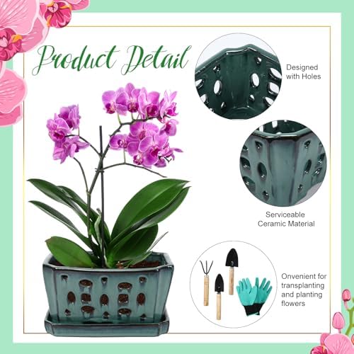 Teenyyou 9.5" Orchid Pot Ceramic with Hole Saucer for Repotting, Green - Image 3