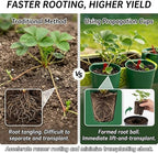 Strawberry Propagation Cups, Breathable Hanging Nursery Pots with Runner Forks, Thickened Potted Food Grade Greenhouse Seedling Cup for Garden Balcony Rooting & Transplanting (20-L Cups + 50 Forks) - Image 5