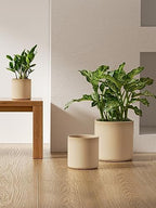 LE TAUCI 10+8+6 Inch Ceramic Pots for Plants, Indoor Planters with Drainage Hole and Plug, Modern Cylinder Flower Pots Set of 3 for Living Room and Bedroom, Glossy, Sand Beige - Image 4