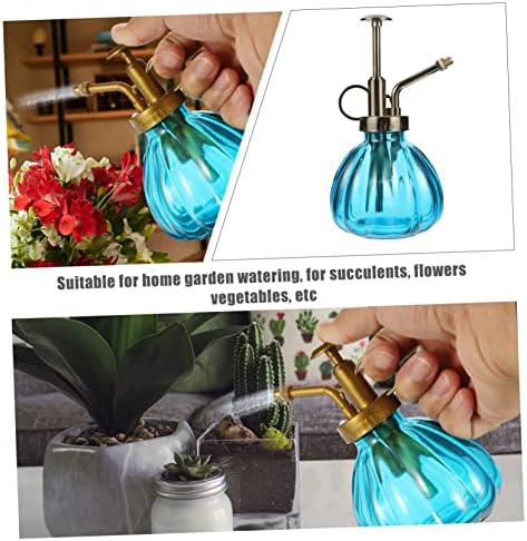 Vintage Glass Watering Spray Bottle 2Pcs for Flowers and Succulents - Image 6