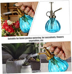Vintage Glass Watering Spray Bottle 2Pcs for Flowers and Succulents - Image 6