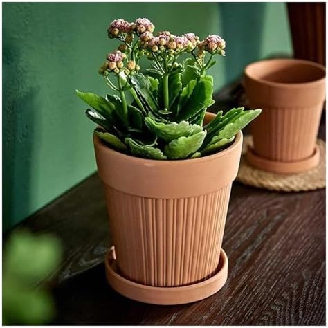 Flower pots 2 Pack Terracotta Planter Flower Pot Outdoor Indoor(15.5cm) - Image 6