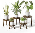 Delma Wood Plant Stands 5-Pack Indoor, Plant Stool, Dark Brown by Delma