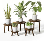Delma Wood Plant Stands 5-Pack Indoor, Plant Stool, Dark Brown by Delma