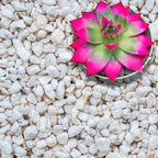 GARDENWISE Perlite for Plants, Extra Coarse Grade 4 Horticultural Perlite, Organic Perlite for Gardening Indoor & Outdoor, Made in USA (30 quarts) by GARDENWISE