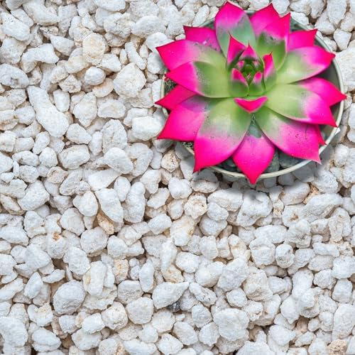 GARDENWISE Perlite for Plants, Extra Coarse Grade 4 Horticultural Perlite, Organic Perlite for Gardening Indoor & Outdoor, Made in USA (30 quarts) by GARDENWISE