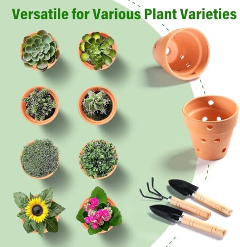 4 Inch Terracotta Orchid Pots with Holes and Saucers Set of 6 - Image 6