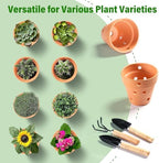 4 Inch Terracotta Orchid Pots with Holes and Saucers Set of 6 - Image 6