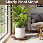 Novabright 1 Wooden Plant Caddy with Wheels, 25 Inch Rolling Stand - Image 4