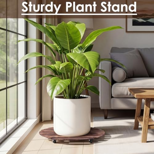 Novabright 1 Wooden Plant Caddy with Wheels, 25 Inch Rolling Stand - Image 4