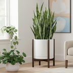 D'vine Dev Ceramic Pot with Walnut Wood Stand, White, 14 in, 55-B-T-1 - Image 4