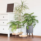 D'vine Dev 10 Inch Planter Pot with Stand, Mid-Century Tall Plant Pot with Legs for Indoor Plants, Medium, Grey, 88-O-B-3 - Image 2