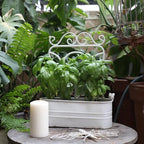 Vintage Rustic Wall Planter Distressed Decor Iron Hanging Plant Basket Shabby Metal Wall Mounted Flower Holder Pot Stand for Indoor Outdoor Home Balcony Patio Farmhouse Garden Decorative White - Image 6
