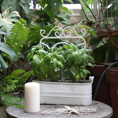 Vintage Rustic Wall Planter Distressed Decor Iron Hanging Plant Basket Shabby Metal Wall Mounted Flower Holder Pot Stand for Indoor Outdoor Home Balcony Patio Farmhouse Garden Decorative White - Image 6