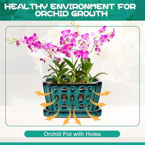 Teenyyou 7 Inch Ceramic Orchid Pot with Holes and Saucer Repotting,Green - Image 4