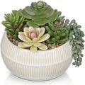 DILATATA Artificial Succulent Plants in Pot 5.5 Inch Fake Succulents Arrangement Potted Plant in White Ceramic Planter Bowl for Home Office Desk Shelf Living Room Bedroom Bathroom Decor by DILATATA