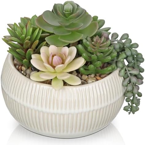 DILATATA Artificial Succulent Plants in Pot 5.5 Inch Fake Succulents Arrangement Potted Plant in White Ceramic Planter Bowl for Home Office Desk Shelf Living Room Bedroom Bathroom Decor by DILATATA