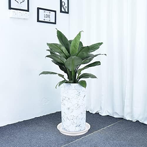 4 Pack of 16 inch Plant Saucer (13.5" Base), Heavy Duty Plastic Plant Tray for Pots, Bird Bath Bowls, Plant Drip Saucers for Planter 14"/15"/16" (White) - Image 7