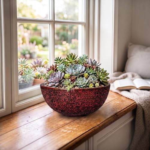 Bonsai Pots 8 Inch, Ceramic Succulent Pots, Red Leopard - Image 6