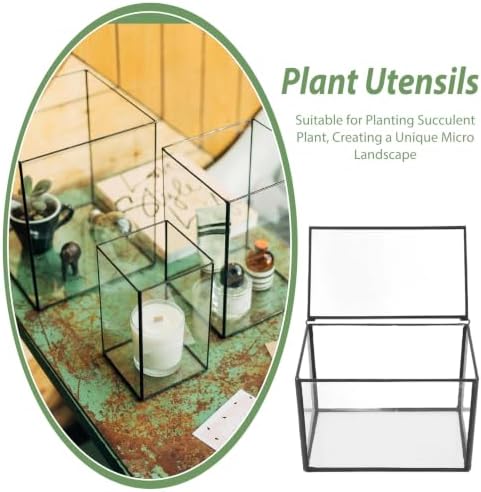 Glass Terrarium Plant Holder for Flowers and Patio Garden Display - Image 3