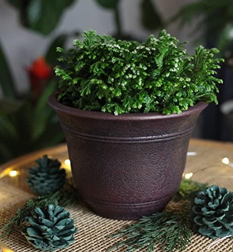 The HC Companies Sierra Round Self-Watering Pot - Lightweight Plastic Planter for Herbs & More - Durable Plant Pots for Indoor Plants & Outdoor Plants (10” Rustic Redstone, Pack of 1) - Image 3