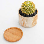 4 pcs 4 Inches Ceramic Marbleizing Style, Big Planters with Bamboo Trays (Colorful) - Image 7