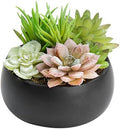 MyGift Mini Assorted Artificial Succulent Plants Black Ceramic Planter Bowl by MyGiftHome