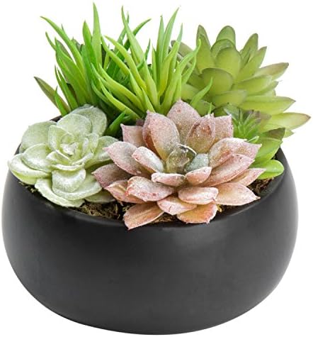 MyGift Mini Assorted Artificial Succulent Plants Black Ceramic Planter Bowl by MyGiftHome