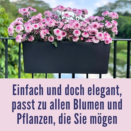 LaLaGreen Railing Planter Box (20 Inch, 4 Pack) Black Rectangular Window Flower Boxes with Bracket, Self Watering System Hanging Planter Box for Outdoor Plant Pots Container Deck Rail Fence Balcony - Image 4