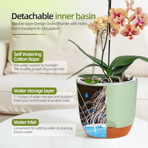 QCQHDU 5.7Inch Orchid Pots with Holes for Repotting, Double-Layer Plastic Self Watering Flower Pots for Indoor Plants with Drainage Holes, Clear Orchid Pot Match Decorative Orchid Container, 3 Packs - Image 4